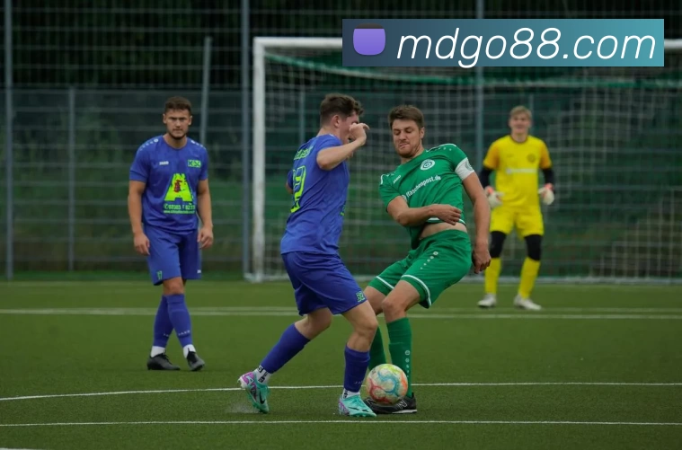 摩登娱乐官网品牌故事