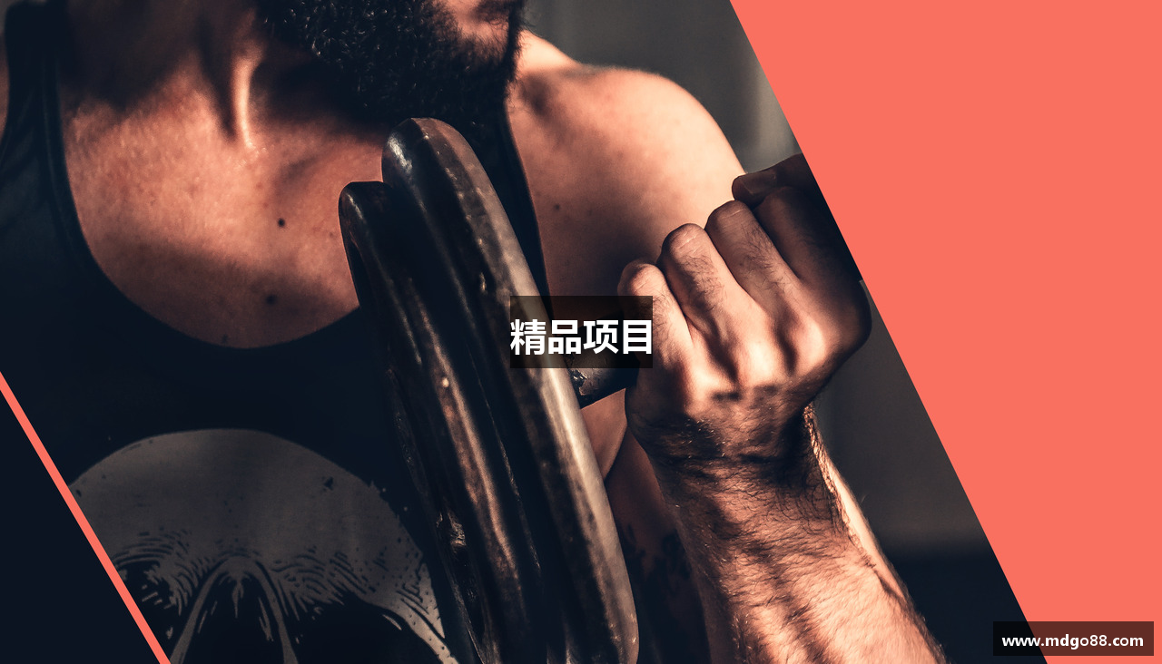 精品项目